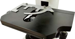 Upright Fluorescent Biological Microscope B60F