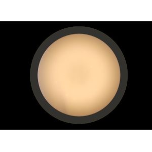 Warm White LED Bathroom Ceiling Lights 2600LM Adjustable High Color - Rendering