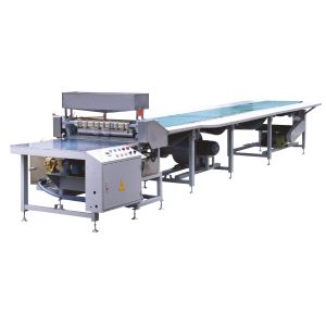 Manual Feeding Gluing Machine with Convoyer Belt / Gluing Machine