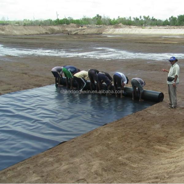 1-6m Width Environmental Friendly Black Geomembrane for Fish Ponds and Landfill