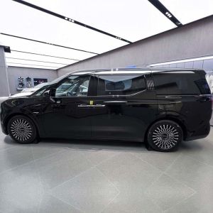 Pure Electric Vehicle with ISO14001 Certification Zeekr 009 2024 We Edition