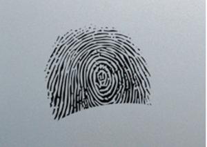 Anti Fingerprint Cold Rolled Stainless Steel Sheet 0.2mm - 3.0mm Thickness