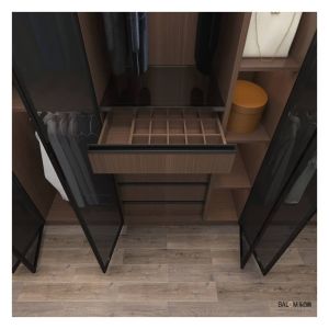 Stylish Walk-in Closets Lighting Design Black Glass Door Panel with Foldable