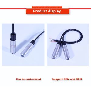 Customized Liquid Level Sensors For Pore Water Pressure Monitoring UBPT500-601TY