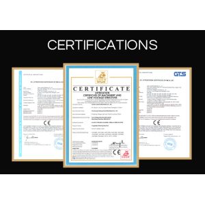 Multifunction Mesh Belt Conveying Fruits Mushroom Vegetable Processing Line