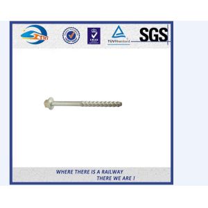 High Tensile Screw Spike Railway Spike Railroad Screw 8.8 Grade