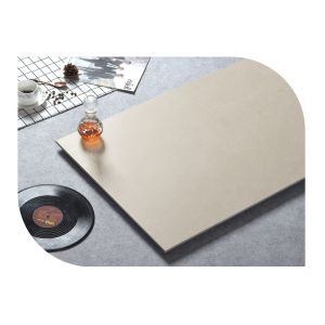 AAA Grade Soft Glazed Porcelain Tiles 120x60cm for Bathroom
