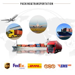 110kg Ice Storage Capacity LZ-02 Snowflake Ice Maker 220V 560*635*720/560*850