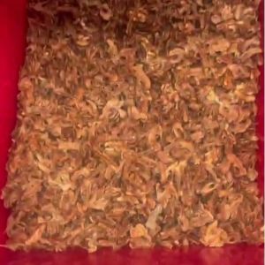 AI-powered Multi-Grade Walnut Kernel Sorting Machine with 8 lanes and 12 Outlets