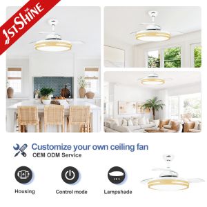 Smart 42 Inch LED Invisible Ceiling Fan For Bedroom And Living Room