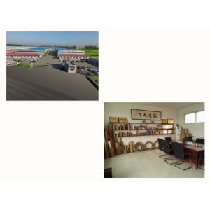 Solid Energy Saving Paper Tube Cutting Machine Recutter Manual Blanking