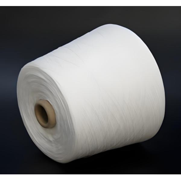 Trilobal/Round/Hollow/Flat Nylon Staple Fiber 1.2D-80D 38mm-120mm Cut Length