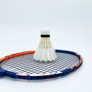 Superior D9 Carbon Badminton Racket Wholesale Badminton Racket Racquet with