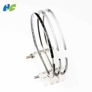 Nissan Genuine Engine Piston Ring For FD6 FE6 12040 - Z5028 12 Months Warranty