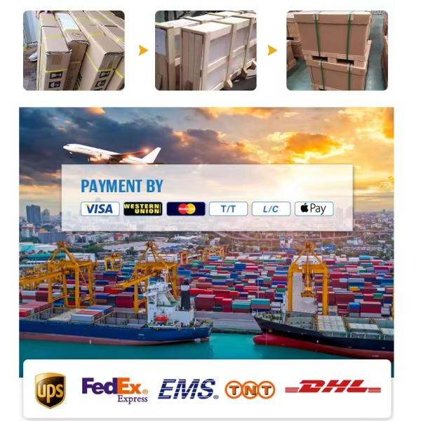 4992995 Timing Gear Housing Diesel For Cummins L9 QSL9 Engine