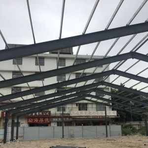Custom Light Steel Structure Building - 50+ Year Lifespan