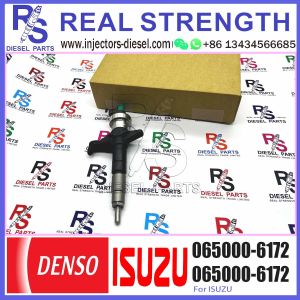 0650006172 8980558632 065000-6172 8-98055863-2 Common Rail Diesel Fuel Injector
