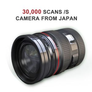 Sea Food Color Sorting Equipment With Intelligent Operating System