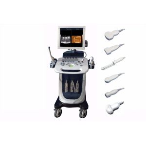 Doppler Portable Ultrasound Scanner PW CFM PDI Mode