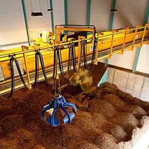 QZ Model Double Girder Overhead Crane With Grab