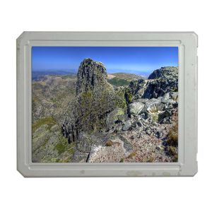 China LM32C041 Lcd Display 5.5 inch 320*240 TFT LCD Screen on sale