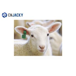 Professional RFID UHF Sheep Animal Ear Tag In Yellow , Customizable Size