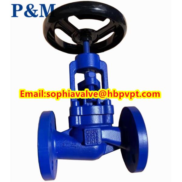 DIN GG25 PN16 cast iron globe valve made in China