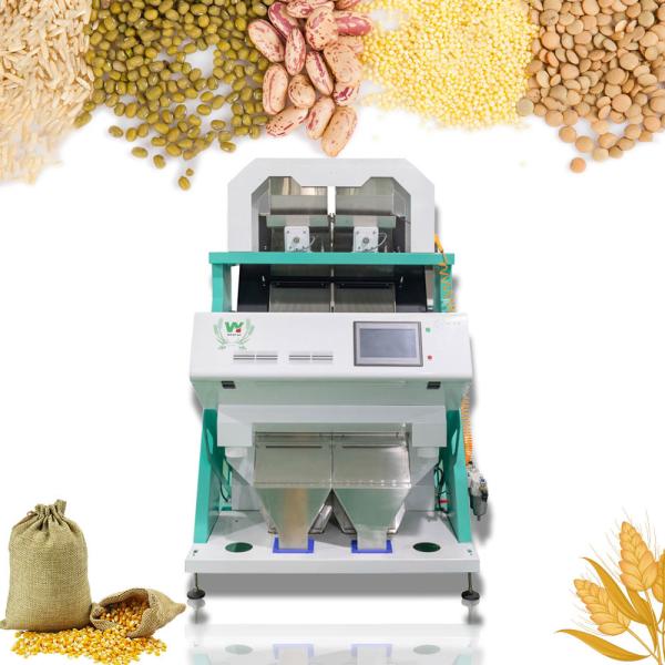 High Quality Almond Color Sorter Machine Apricot Color Sorting Machine