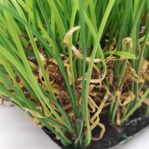 Realistic Artificial Grass Turf For Garden With Drainage Holes