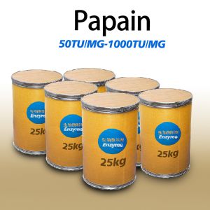 papase papain 50TU/MG-1000TU/MG FSSC22000 MUI Kosher system certification Customized enzyme activity