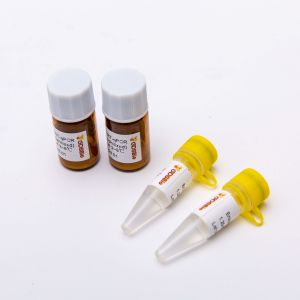 200rxn Lyophilized 2X One Step RT QPCR Master Mix V5007L