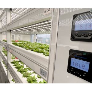 Department Option Leafy Vegetable Container House with Customization and Roofing