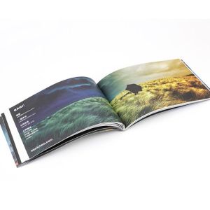 Wholesale PSD C1S Instruction Booklets Manual Guide Glossy Matte Varnishing 500pcs from china suppliers