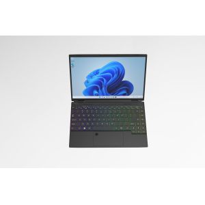 HL140G Customized Slim 14 Inch N95 Win 10/11 Brand New Notebook Ddr4 16Gb/32Gb