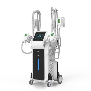 Wholesale High quality professional Slimming cryolipolyse machine / cryolipolysis machine fat freeze 2018 from china suppliers