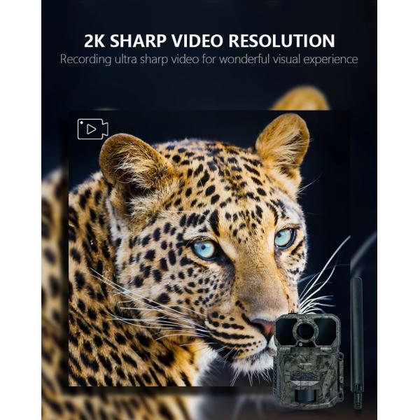 IP65 Waterproof 4G Trail Camera