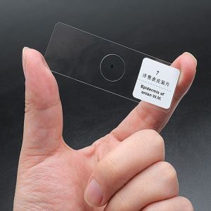 Lab Research Plastic Box 25pcs Pre Prepared Microscope Slides