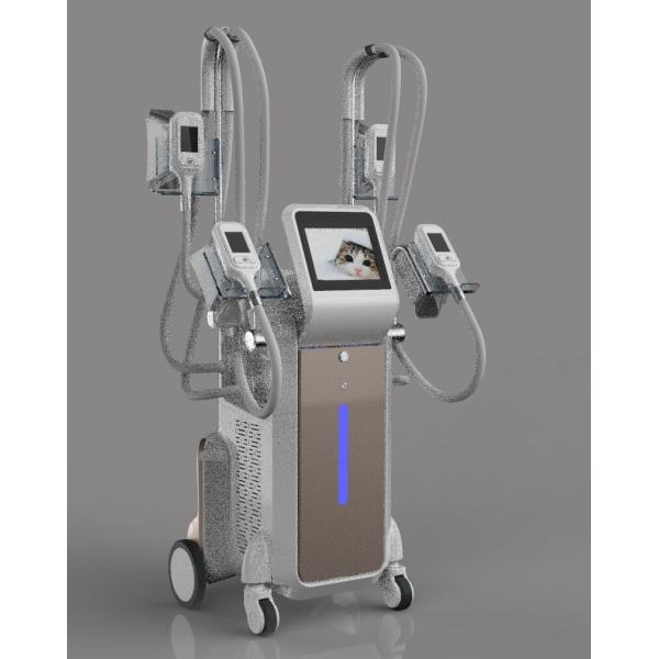 Cryolipolysis slimming machine ultrasonic liposuction cavitation can you freeze