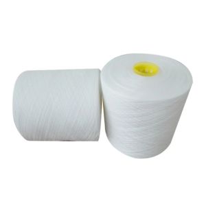 20s/2 30s/2 40s/2 100% Polyester Ring Spun Yarn Polyester Yarn from China