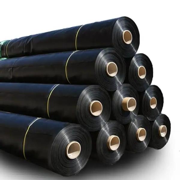 High Density Polyethylene EVA Agricultural Pond Liner for Fish Farming 0.5mm