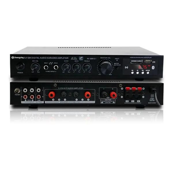 KTV Home Theatre System Professional Amplifier Board with 2 Mic Inputs and LDZS