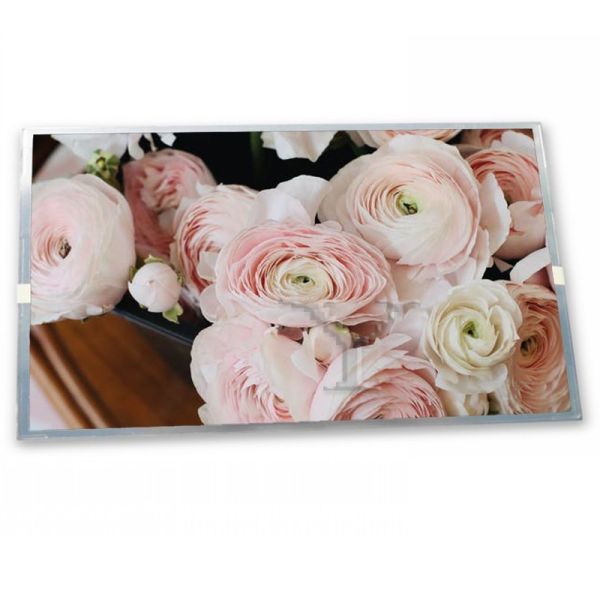 Quality C050SWA5 R0 Online One-stop Shopping 5 Inch Industrial Control Lcd Monitor 720*1280 in Stock Lcd Module Display for sale