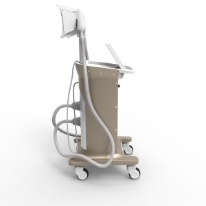 Quality assurance Max -15 Celsius cryolipolysis freeze fat cryolipolysis machine