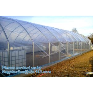 Manafacture PE Material Pre-stretch Perforated UV Resistant Agriculture Film