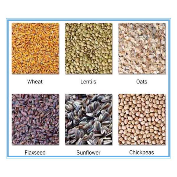 Larger Capacity Grain Corn Color Separator Machine With CCD LED Lights Hot In Brazil