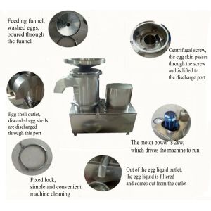Fast Delivery Rapid Manual White And Separator Manually Egg Yolk Selector