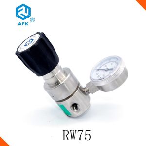 1/4" NPT Back Pressure Regulating Valve With PCTFE Vespel Seat CE Certification