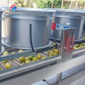 350KG Stainless steel fruit and vegetable processing air drying machine group