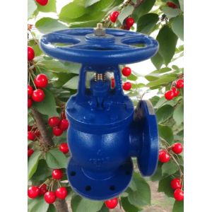 Wholesale ANSI angle valve from china suppliers