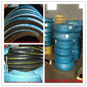 China EN853 2SN hydraulic hose for coal mine machine on sale